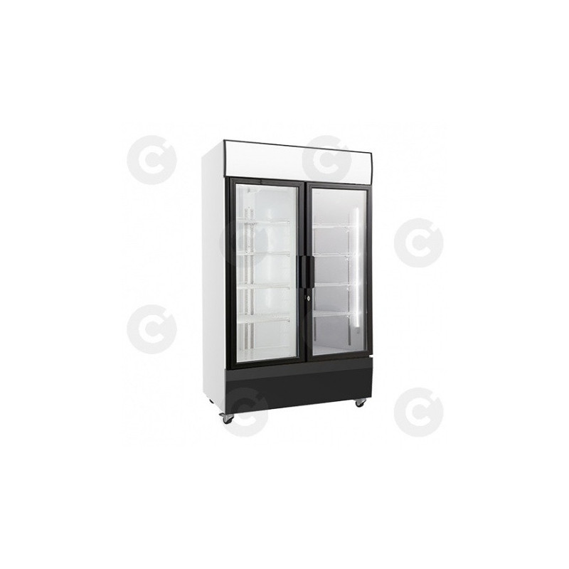 Armoire D'Exposition Positive 2 Portes 730 L 