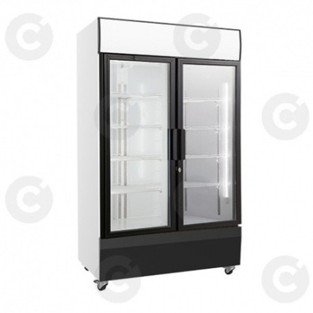 Armoire D'Exposition Positive 2 Portes 730 L 