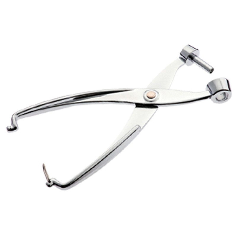 Pince dénoyauteur cerise - aluminium 