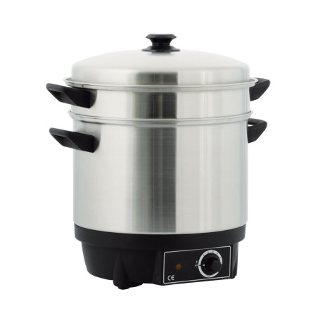 Cuit-vapeur électrique 