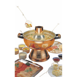 Appareil à fondue chinoise électrique 