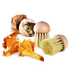 Brosse à champignons 