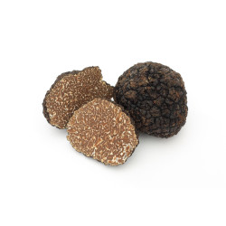 Brosse à légumes et à truffes 